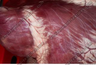 Photo Textures of RAW Pork Meat